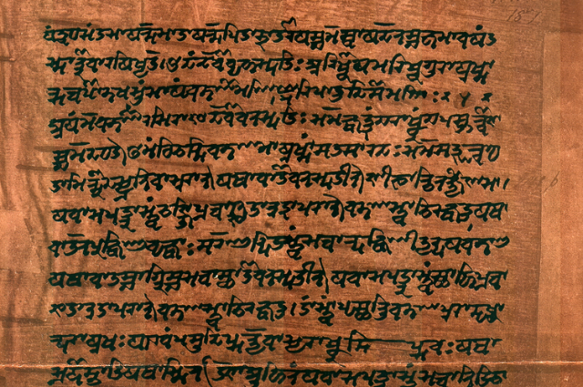 Components animation